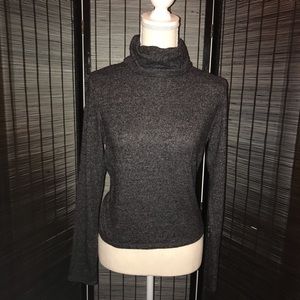 Aerie Long sleeve turtle neck